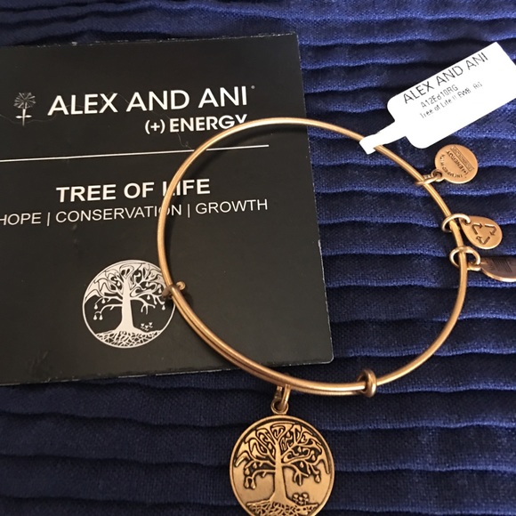 ALEX AND ANI (+) energy - Picture 2 of 2